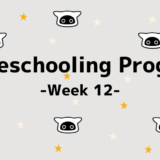 保護中: 【Homeschooling Program】Week 12｜えいごの形容詞(けいようし)をおぼえよう！