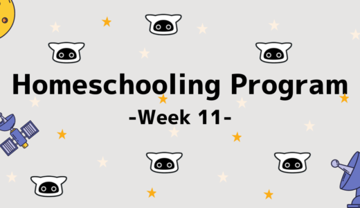 【Homeschooling Program】Week 11｜えいごの形容詞(けいようし)をおぼえよう！