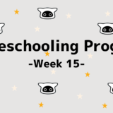 保護中: 【Homeschooling Program】Week 15｜「How many~?」を学ぼう！