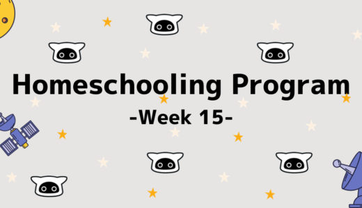 【Homeschooling Program】Week 15｜「How many~?」を学ぼう！