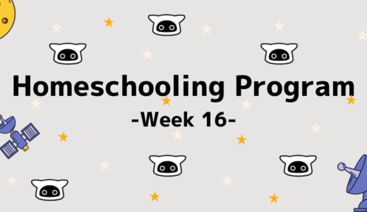 【Homeschooling Program】Week 16｜曜日を学ぼう！